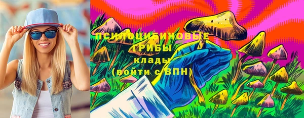 бошки Дмитровск