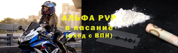 PSILOCYBIN Горнозаводск