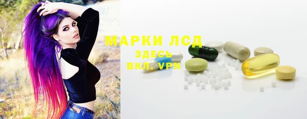 PSILOCYBIN Горнозаводск
