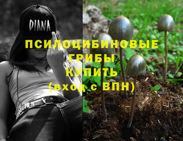 PSILOCYBIN Горнозаводск
