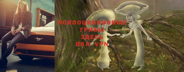 PSILOCYBIN Горнозаводск